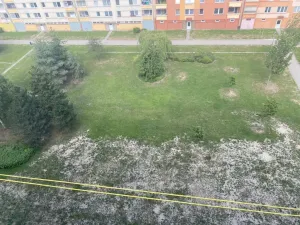 Pronájem bytu 2+kk, České Budějovice - České Budějovice 2, J. Bendy, 46 m2