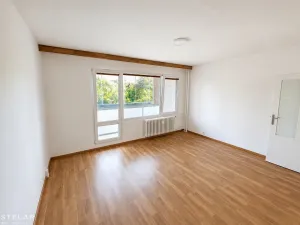 Pronájem bytu 2+kk, Brno - Starý Lískovec, Dunajská, 54 m2
