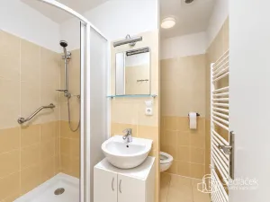 Pronájem bytu 1+1, Sokolov, Kosmonautů, 35 m2