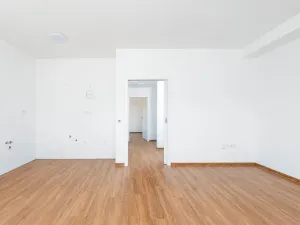 Prodej bytu 2+kk, Lázně Bohdaneč, Šípkova, 89 m2