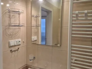 Pronájem bytu 1+1, Děčín - Děčín II-Nové Město, Dvořákova, 40 m2