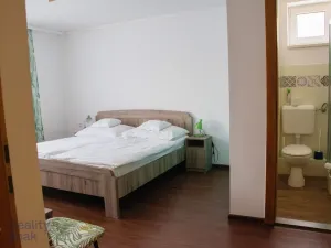 Prodej ubytování, Buk, Kristály utca, 429 m2