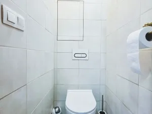 Prodej bytu 3+1, Plzeň, Raisova, 61 m2