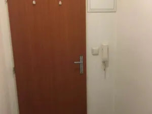 Pronájem bytu 1+kk, Praha - Vysočany, Freyova, 18 m2