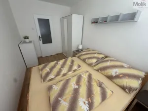 Prodej bytu 2+kk, Most, Františka Malíka, 39 m2