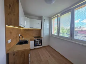 Pronájem bytu 1+1, Ostrava - Zábřeh, Výškovická, 40 m2