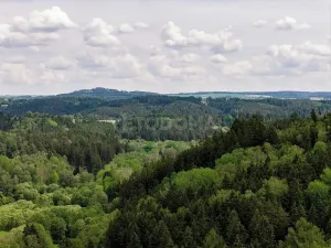Prodej pozemku pro bydlení, Bezdružice, Úterská, 900 m2