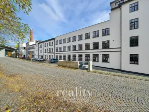 Pronájem bytu 2+kk, Jihlava, Křižíkova, 96 m2