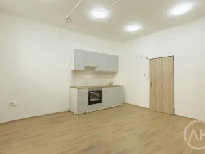 Pronájem bytu 2+kk, Ostrava - Moravská Ostrava, Jílová, 39 m2
