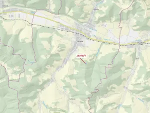 Dražba louky, Hovězí, 1222 m2
