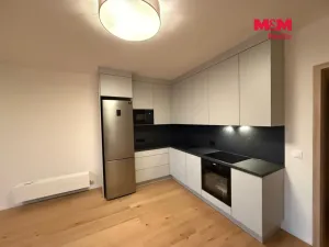 Pronájem bytu 1+kk, Brandýs nad Labem-Stará Boleslav - Brandýs nad Labem, Dřevčická, 41 m2