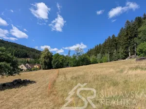 Prodej pozemku, Petrovice u Sušice - Pařezí, 4773 m2