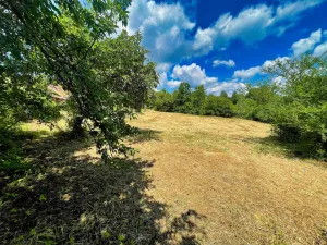 Prodej pozemku, Zadní Střítež, 1357 m2