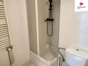 Prodej bytu 5+kk, Veselí nad Lužnicí - Veselí nad Lužnicí I, Podhájek, 163 m2