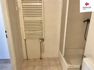 Prodej bytu 5+kk, Veselí nad Lužnicí - Veselí nad Lužnicí I, Podhájek, 163 m2