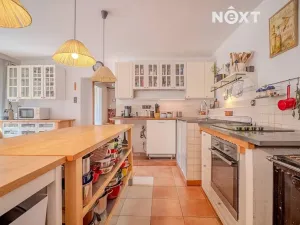 Prodej vícegeneračního domu, Lhenice, Netolická, 335 m2