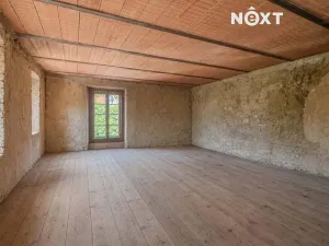 Prodej vícegeneračního domu, Lhenice, Netolická, 335 m2