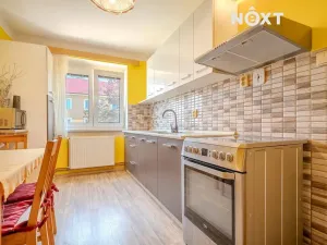 Prodej bytu 2+1, Týn nad Vltavou, Orlická, 54 m2