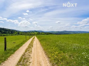 Prodej pozemku, Přídolí, 18124 m2