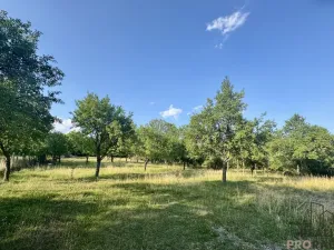 Prodej rodinného domu, Vanovice, 450 m2