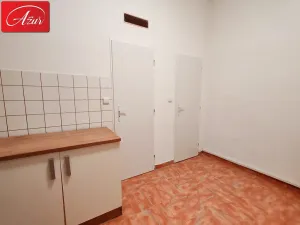 Pronájem bytu 3+1, Teplice, U Hadích lázní, 107 m2