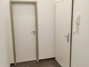 Pronájem bytu 1+1, Brno, Botanická, 37 m2