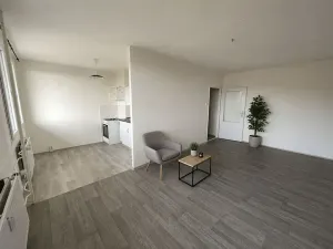 Pronájem bytu 1+1, Litvínov, Bezručova, 42 m2