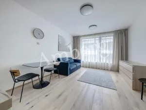Pronájem bytu 1+kk, Praha - Karlín, Sokolovská, 28 m2