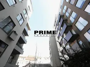 Pronájem bytu 2+kk, Praha - Žižkov, Prokopova, 72 m2