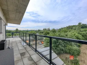 Pronájem bytu 2+kk, Plzeň - Severní Předměstí, Pod Všemi svatými, 74 m2
