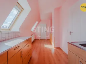 Pronájem bytu 4+kk, Opava, Joži Davida, 114 m2