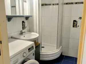 Prodej bytu 2+1, Jihlava, Za Prachárnou, 41 m2