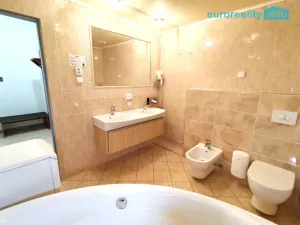 Pronájem bytu 4+kk, Plzeň, Zbrojnická, 102 m2