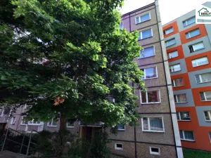 Pronájem bytu 1+1, Cheb, Dvořákova, 39 m2