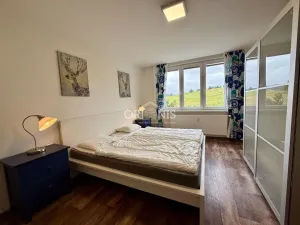 Prodej bytu 2+1, Kovářská, Sídliště, 60 m2