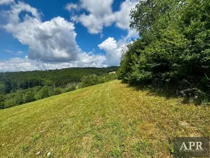 Prodej pozemku pro bydlení, Žítková, 6433 m2