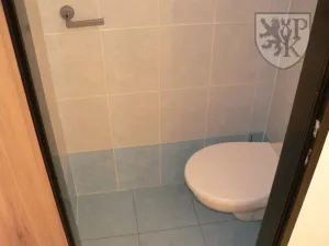 Pronájem bytu 2+1, Blatná, Šilhova, 66 m2