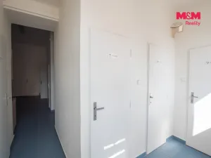 Pronájem kanceláře, Pardubice - Zelené Předměstí, 17. listopadu, 24 m2