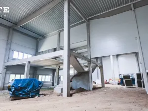 Pronájem skladu, Plzeň, Borská, 804 m2