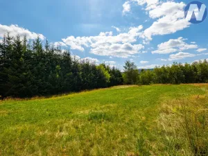 Prodej pozemku pro bydlení, Zdíkov, 1563 m2