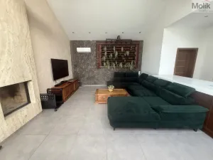 Pronájem rodinného domu, Háj u Duchcova - Domaslavice, Lesní stezka, 700 m2