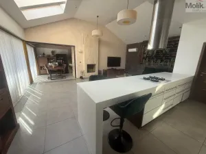 Pronájem rodinného domu, Háj u Duchcova - Domaslavice, Lesní stezka, 700 m2