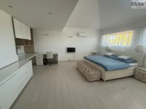 Pronájem rodinného domu, Háj u Duchcova - Domaslavice, Lesní stezka, 700 m2