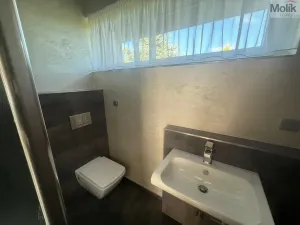 Pronájem rodinného domu, Háj u Duchcova - Domaslavice, Lesní stezka, 700 m2