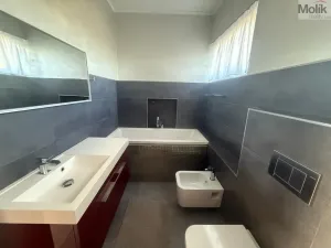 Pronájem rodinného domu, Háj u Duchcova - Domaslavice, Lesní stezka, 700 m2