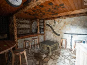 Pronájem rodinného domu, Háj u Duchcova - Domaslavice, Lesní stezka, 700 m2