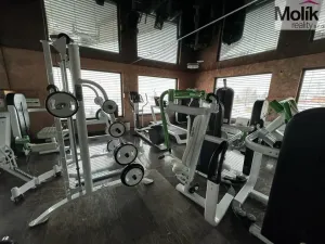 Pronájem rodinného domu, Háj u Duchcova - Domaslavice, Lesní stezka, 700 m2