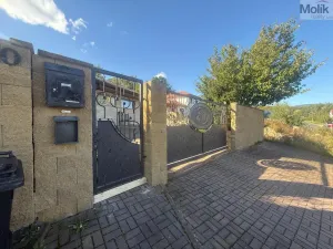 Pronájem rodinného domu, Háj u Duchcova - Domaslavice, Lesní stezka, 700 m2