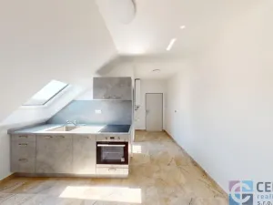 Pronájem bytu 1+1, Jenišovice, 37 m2
