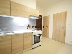 Pronájem bytu 2+1, Praha - Nusle, U gymnázia, 55 m2